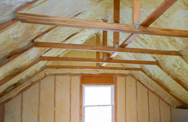 Best Residential Insulation Services  in Lytle, TX