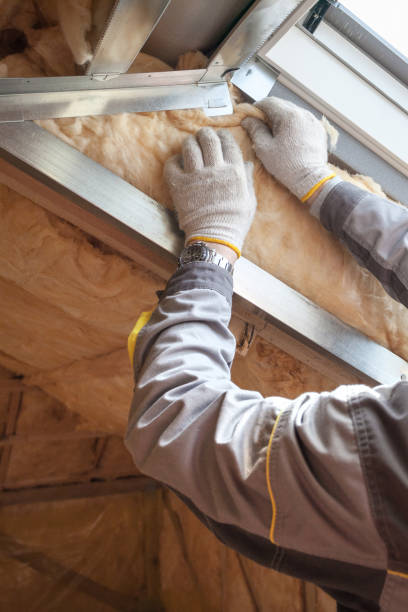 Best Commercial Insulation Contractor  in Lytle, TX