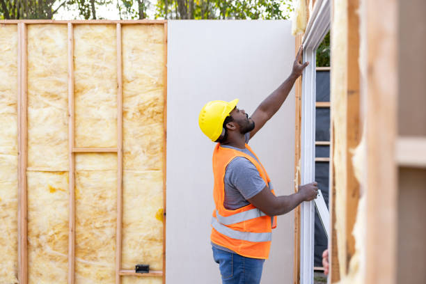 Best Insulation Replacement Services  in Lytle, TX