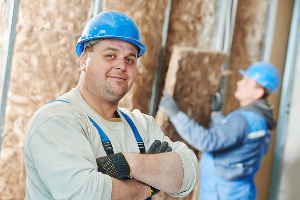 Best Professional Insulation Contractor  in Lytle, TX